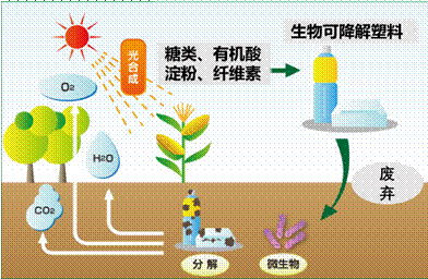 塑料件有機廢氣處理